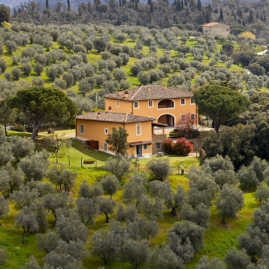 Tenuta di Artimino